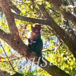 219169719_4857668457593652_3714369588785652990_n