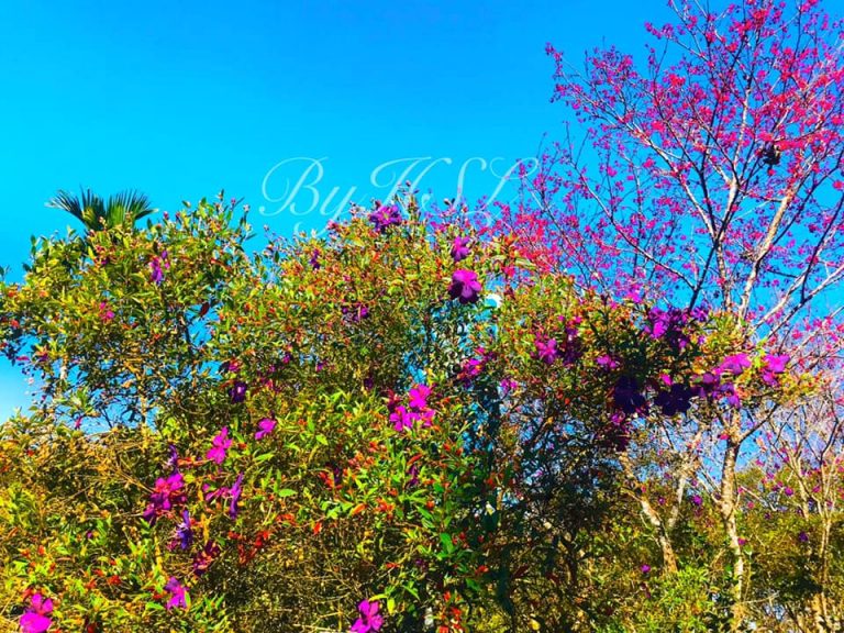 236347348_4922302474463583_3673763995536214785_n