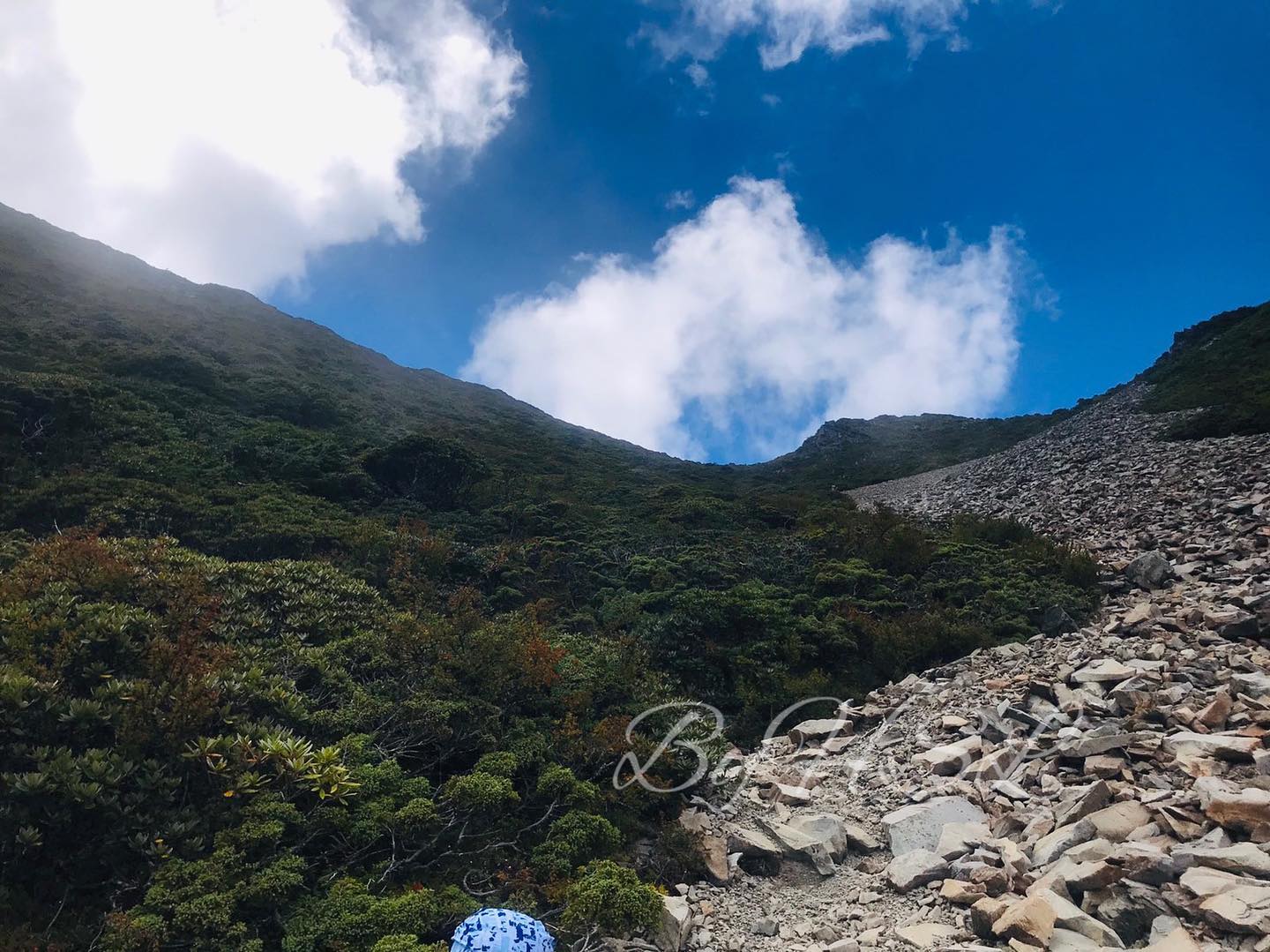 239709523_5057113117649184_5190576168223276455_n