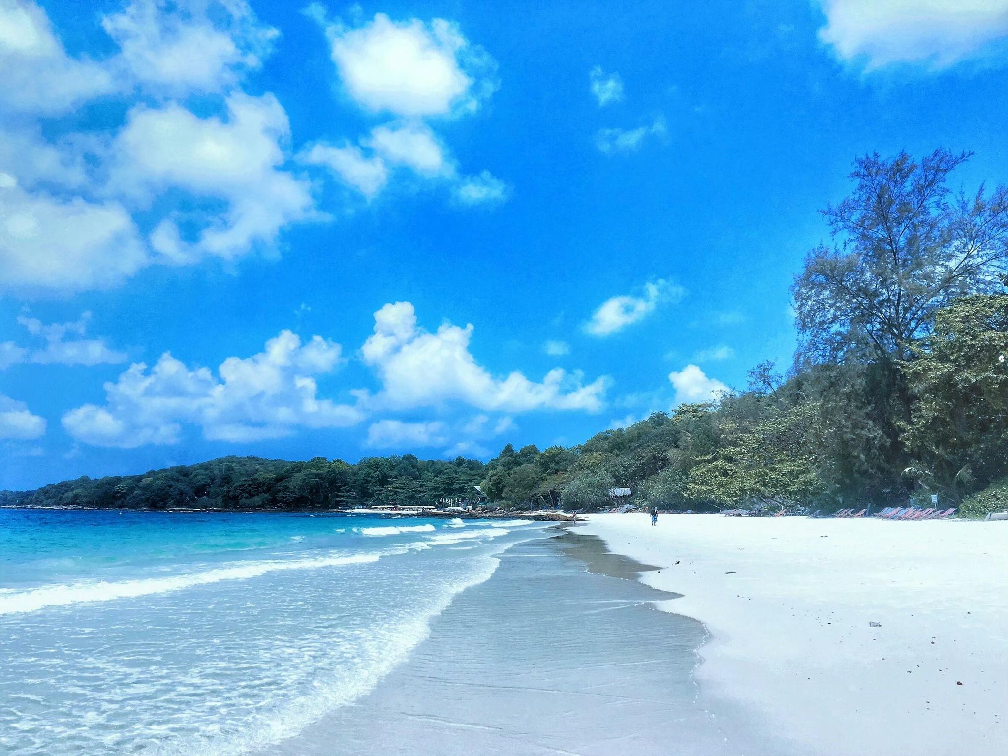 242699319_841323533248257_5859796513924456097_n